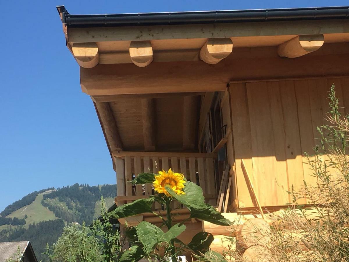 Chalet Karin Hochfilzen Exterior photo